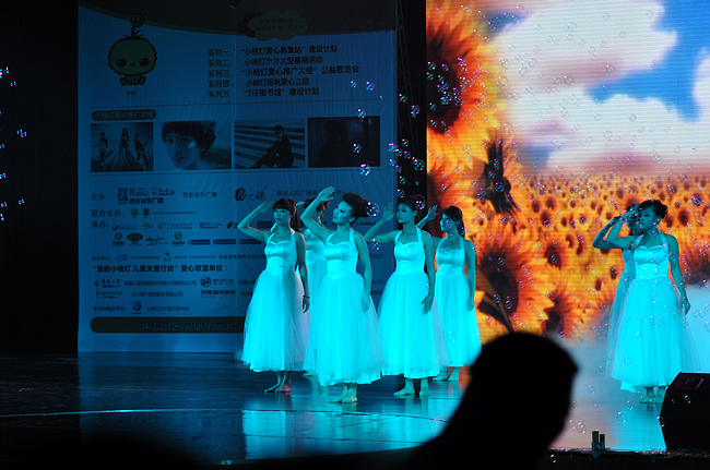DSC_0162.jpg