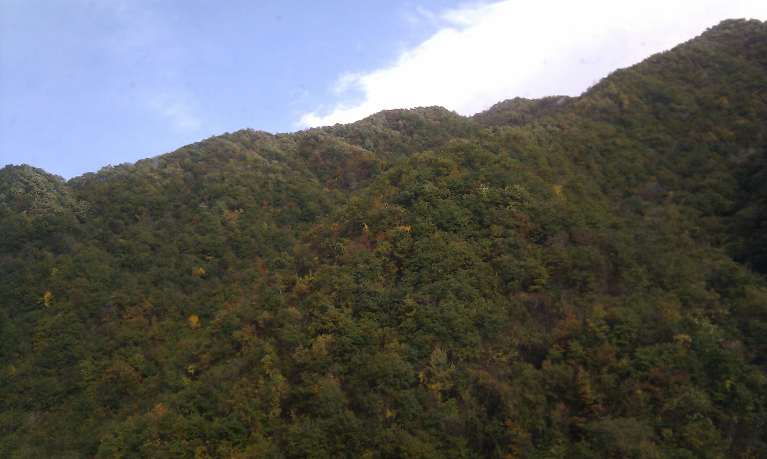 IMAG0361.jpg