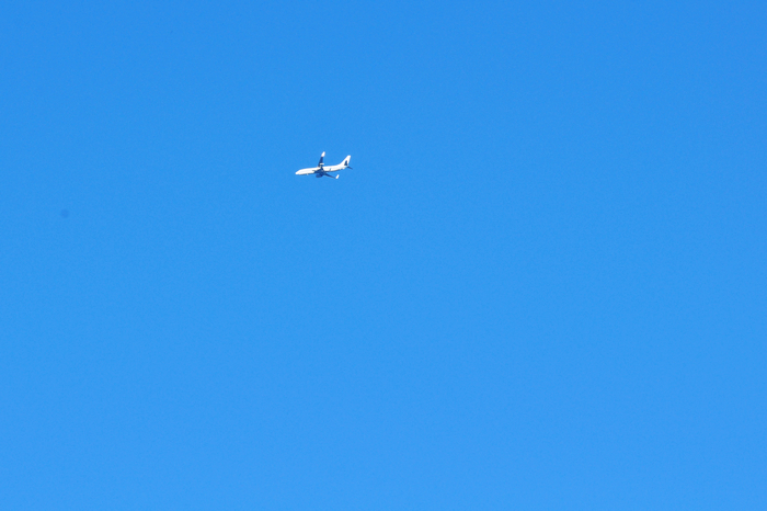 DSC_0363.jpg
