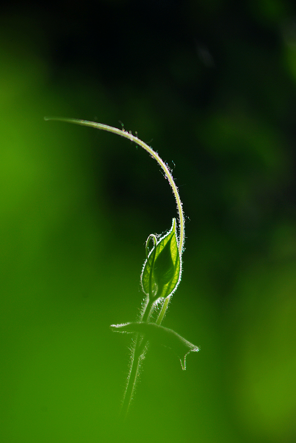 DSC_0677.jpg