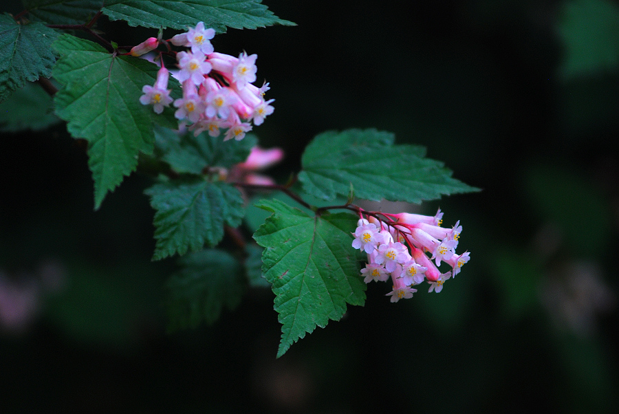 DSC_0687.jpg