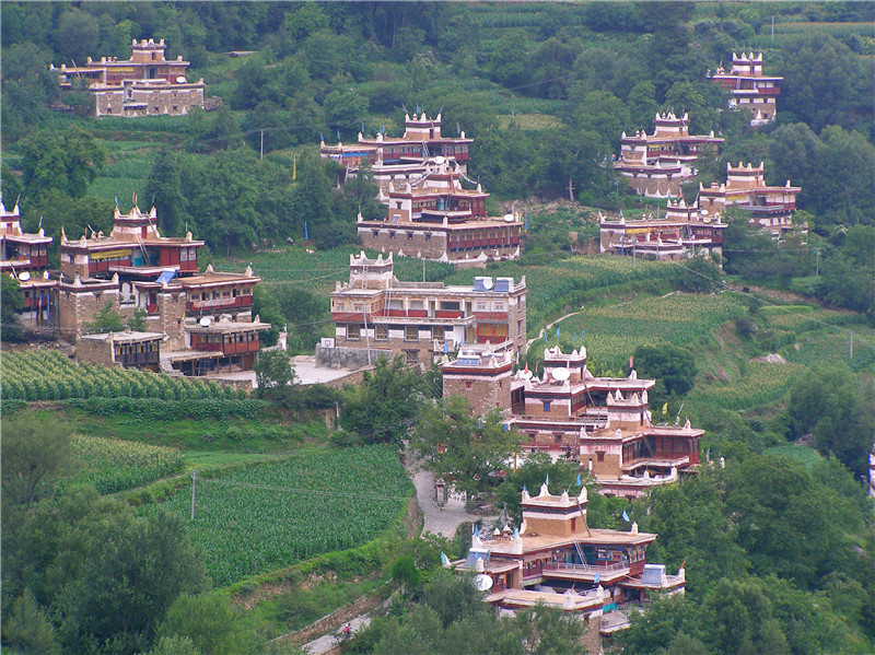 P1010119_副本.jpg