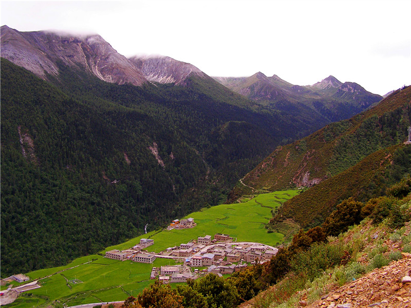 P1010950_conew1_副本.jpg
