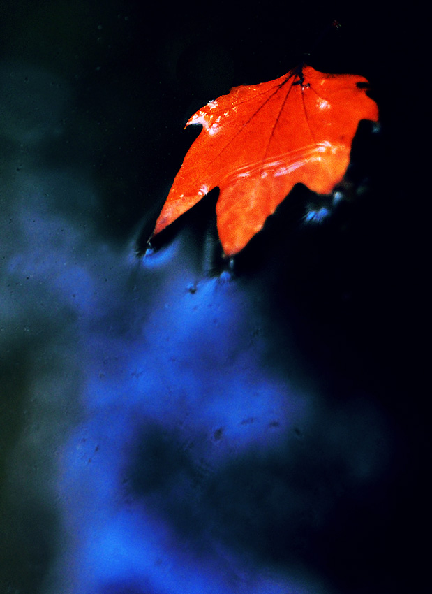 DSC_0040.jpg