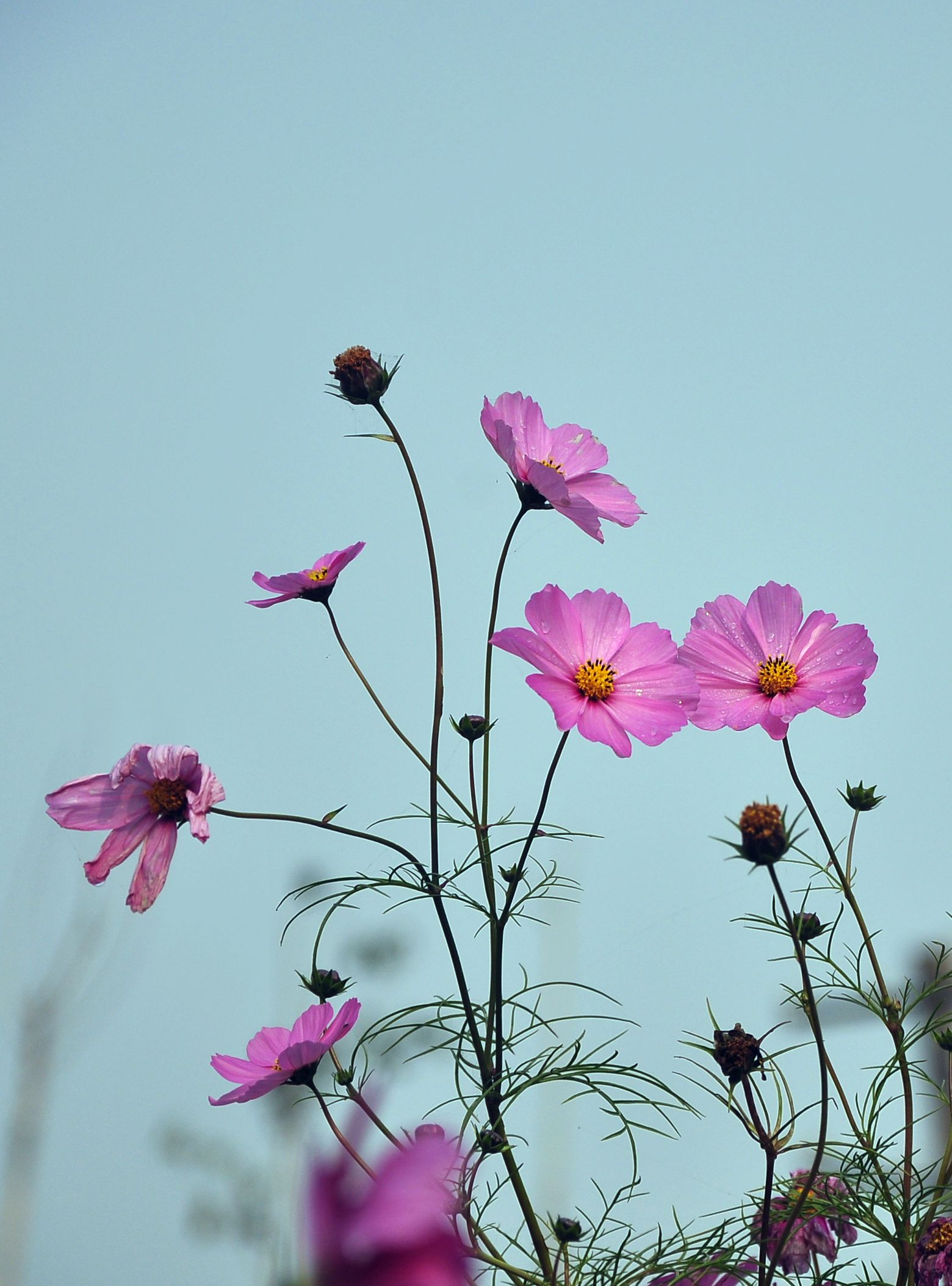 DSC_0164.jpg