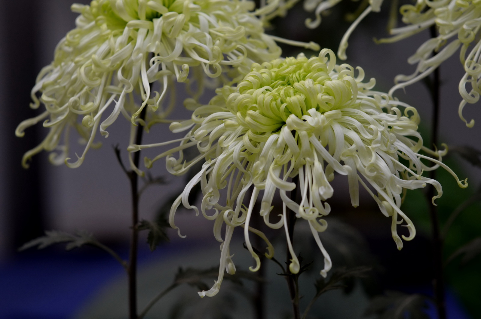DSC_0058_调整大小.JPG