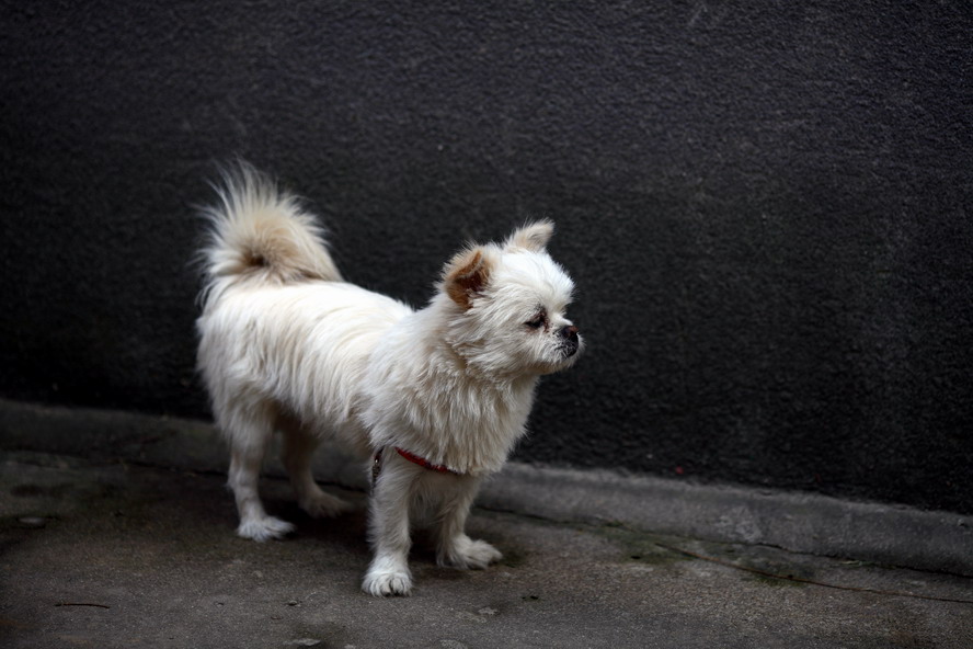 1030-315254_调整大小.JPG