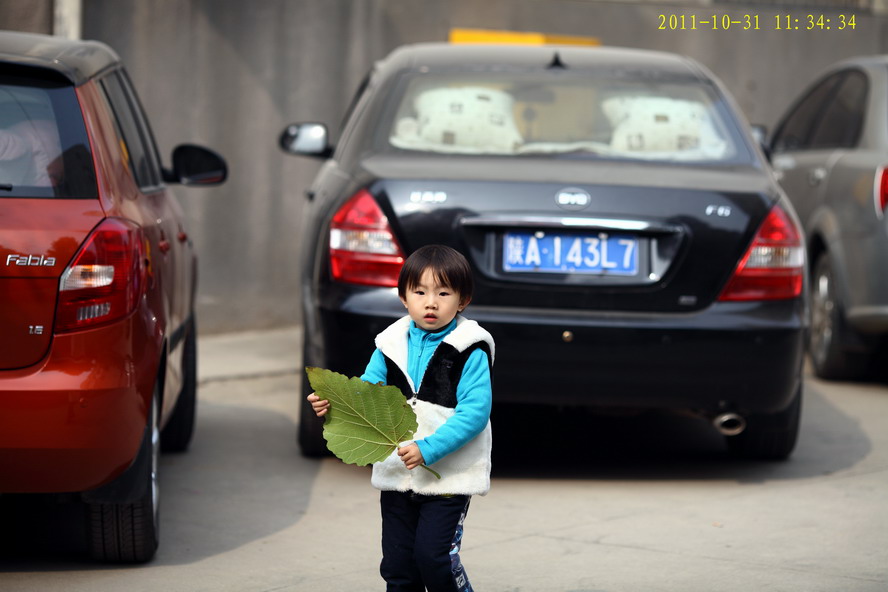 1030-315255_调整大小.JPG