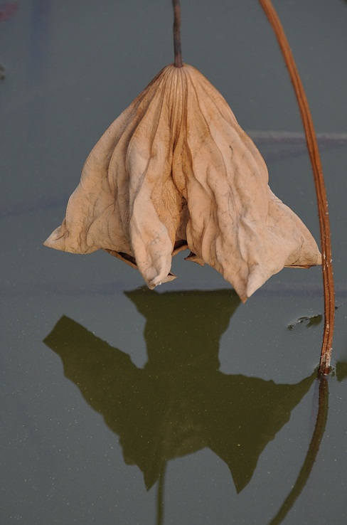 DSC_6316.JPG