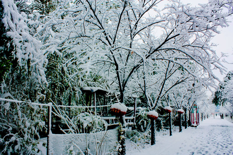 照片 046.jpg
