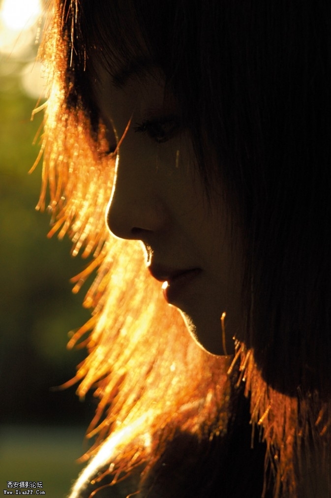 shine06-673x1012.jpg