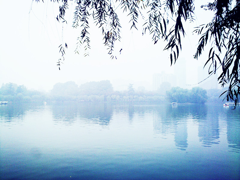 201110235666_副本3.jpg