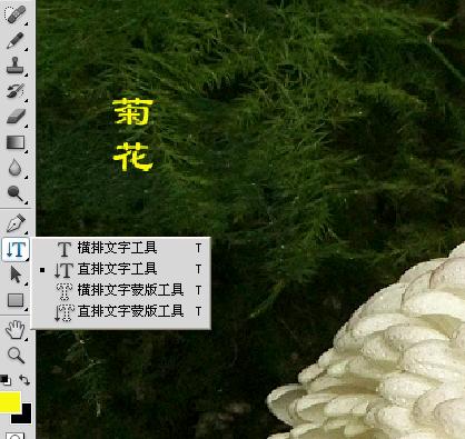 QQ截图未命名.jpg