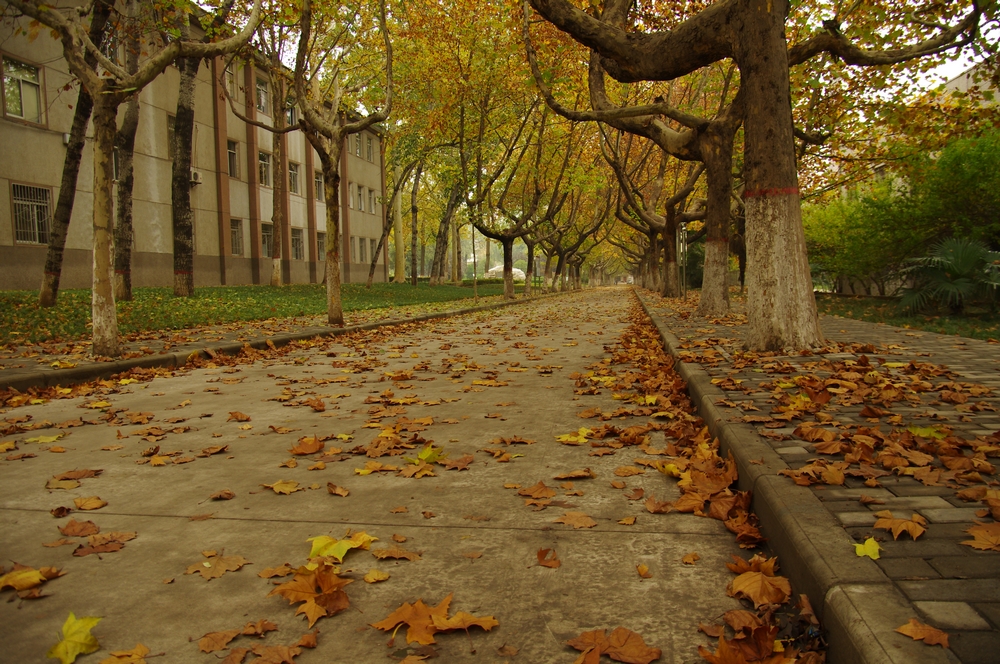 IMGP3423.jpg