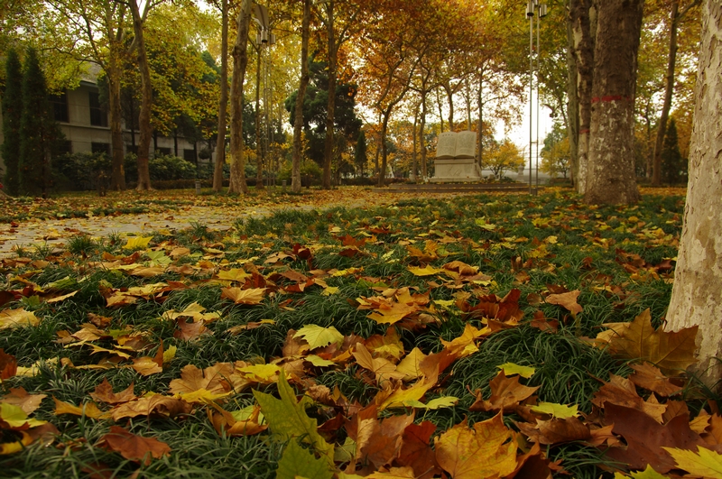IMGP3465.jpg