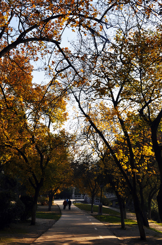 DSC_0036.jpg