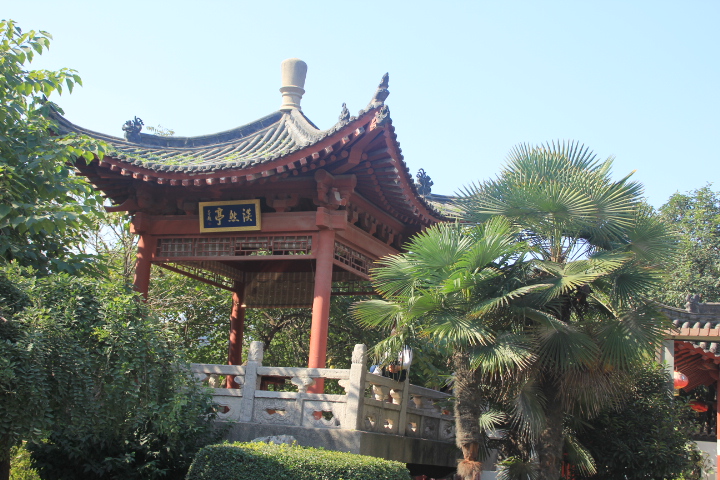 照片 041.jpg