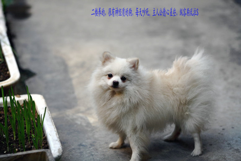 11095562_调整大小.JPG