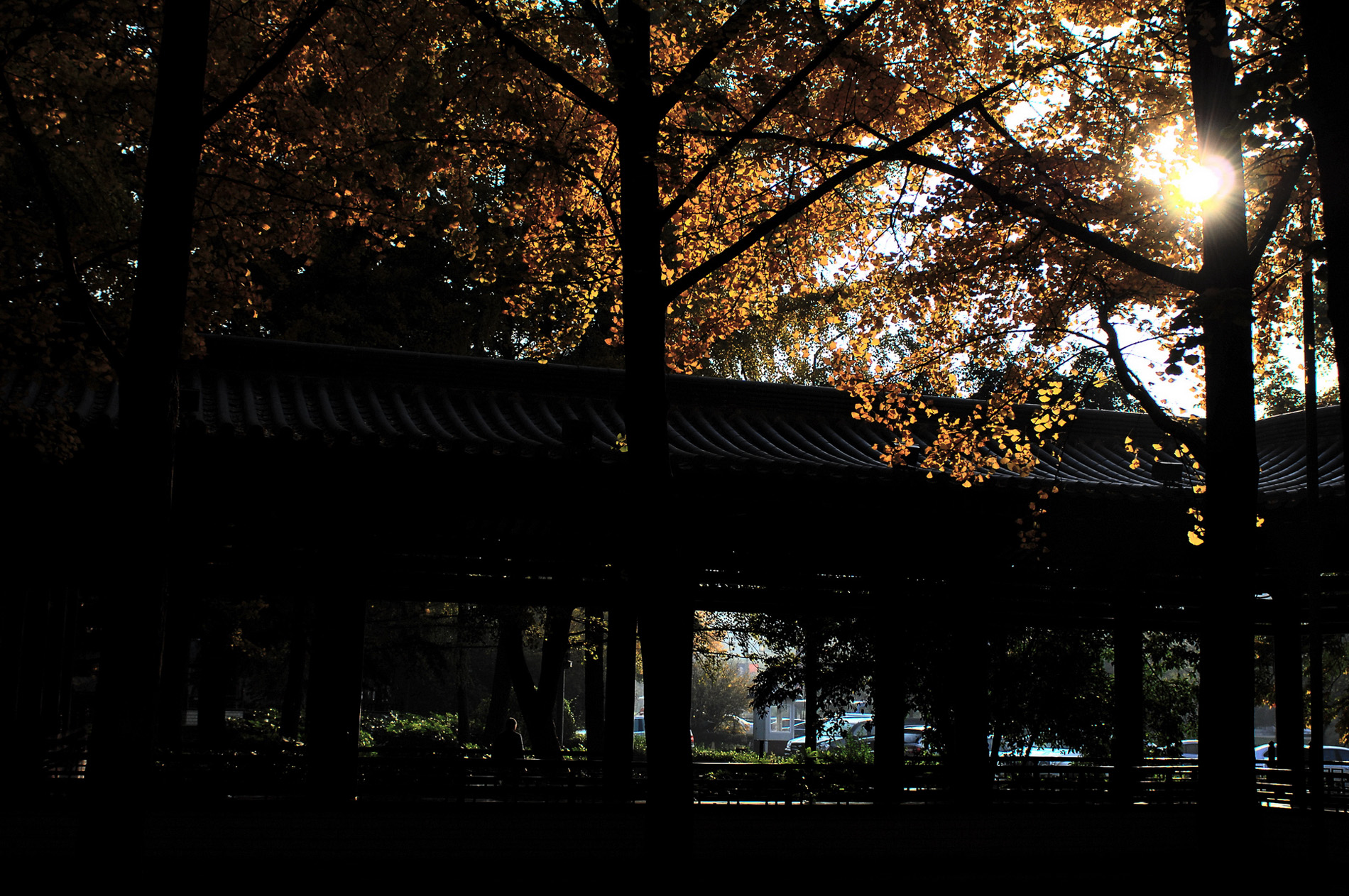 DSC_0002 (7).JPG