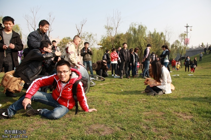 群主的pose
