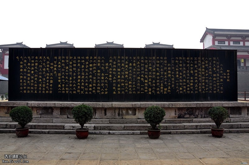 13546900_0800.jpg
