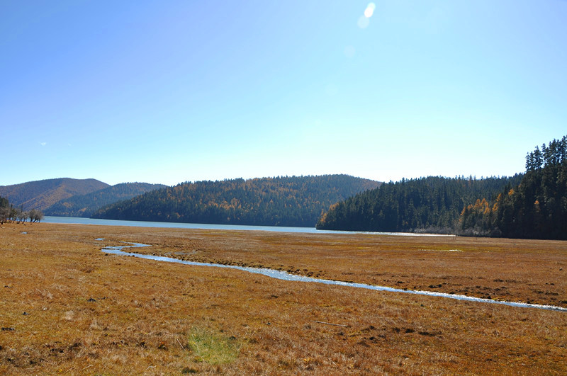DSC_1435_副本_副本.jpg