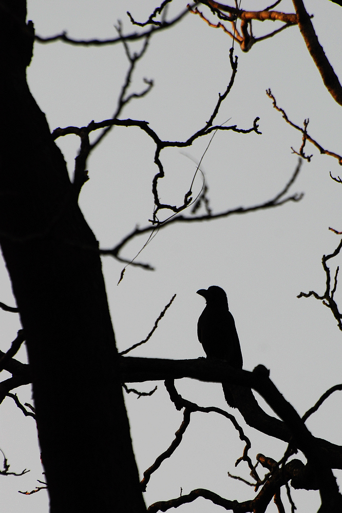 DSC_3837.jpg