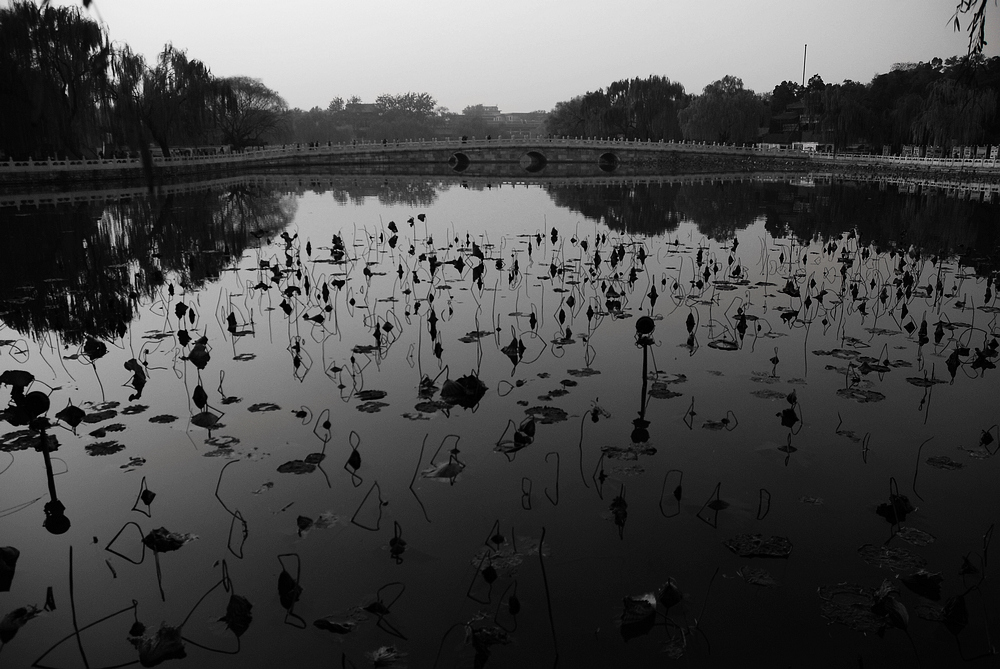 DSC_3865BW.jpg