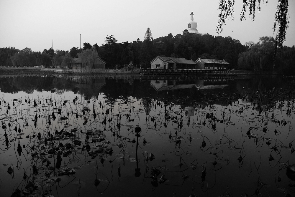DSC_3866BW.jpg