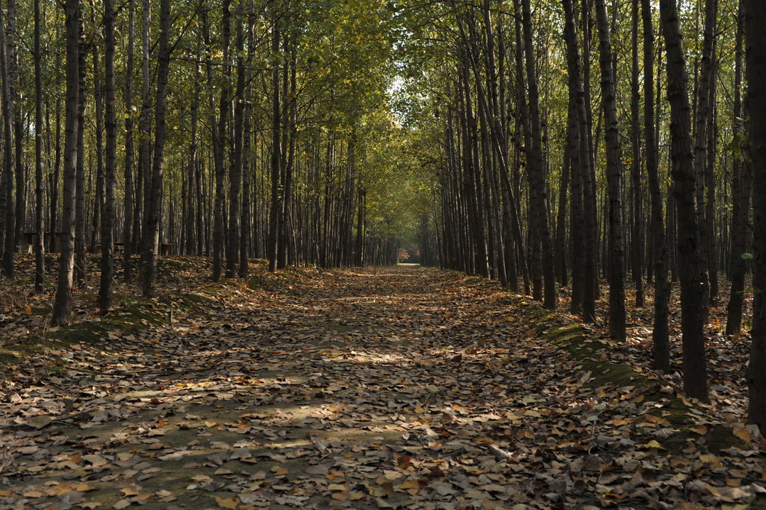 DSC_2884_调整大小.JPG