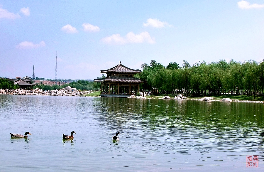 曲江新06q.jpg