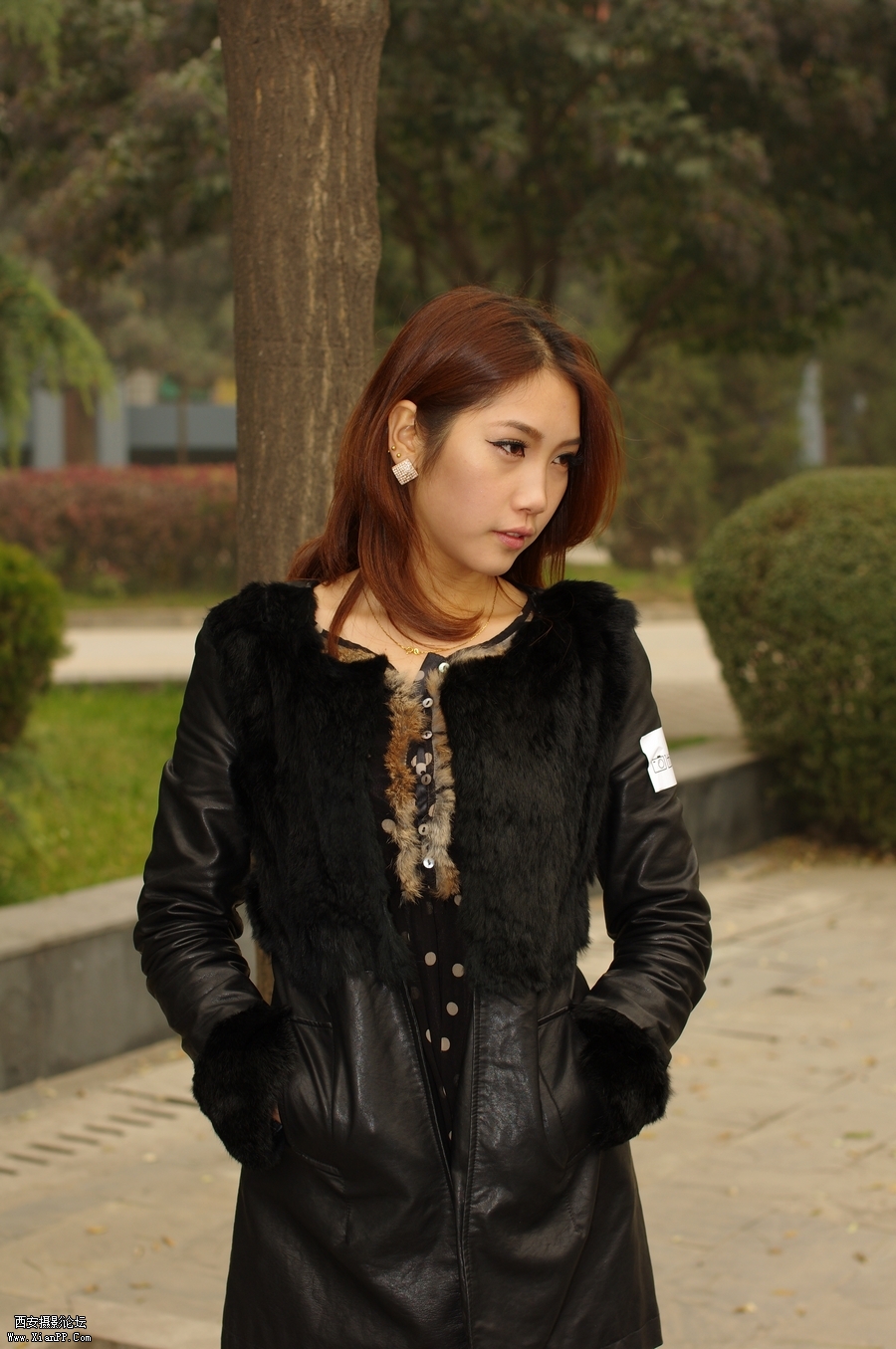IMGP4777.JPG