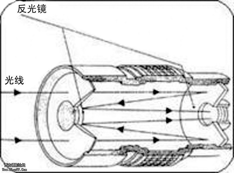 12541666.jpg