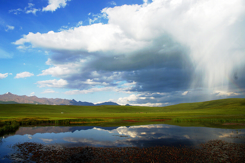 DSC01154A.jpg
