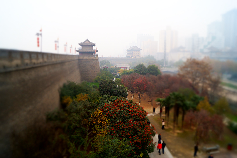 DSC03041-900.jpg