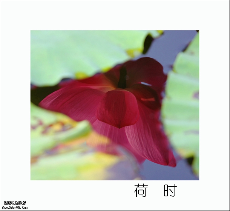 4771178光影似箭.jpg