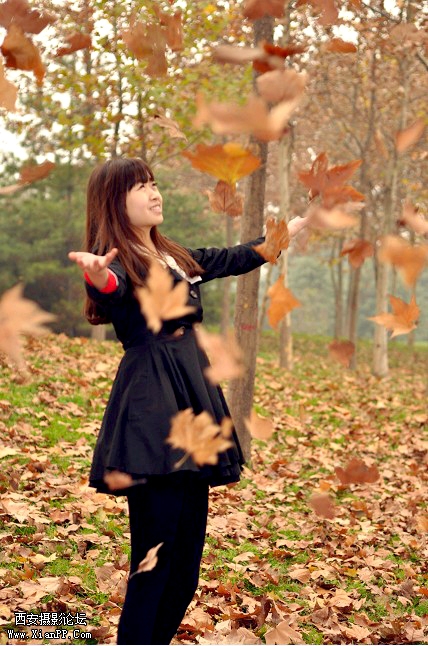 QQ截图20111129220939.jpg