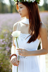 11658100_240.jpg