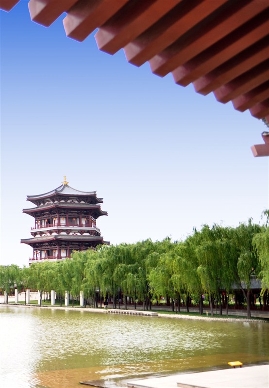 大唐 (3).jpg