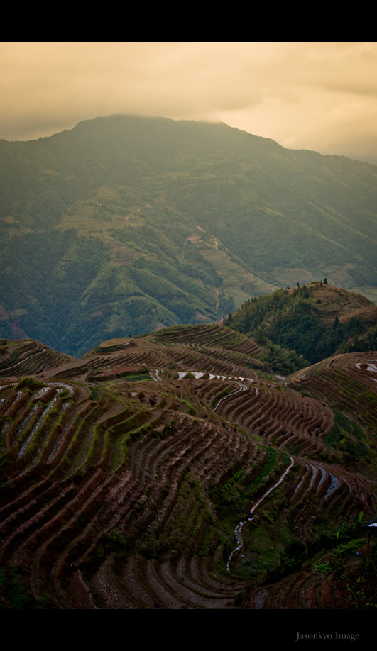 20111109-DSC_1046_副本.jpg
