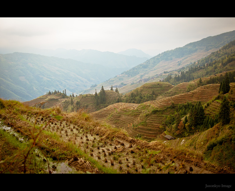 20111109-DSC_1098_副本.jpg
