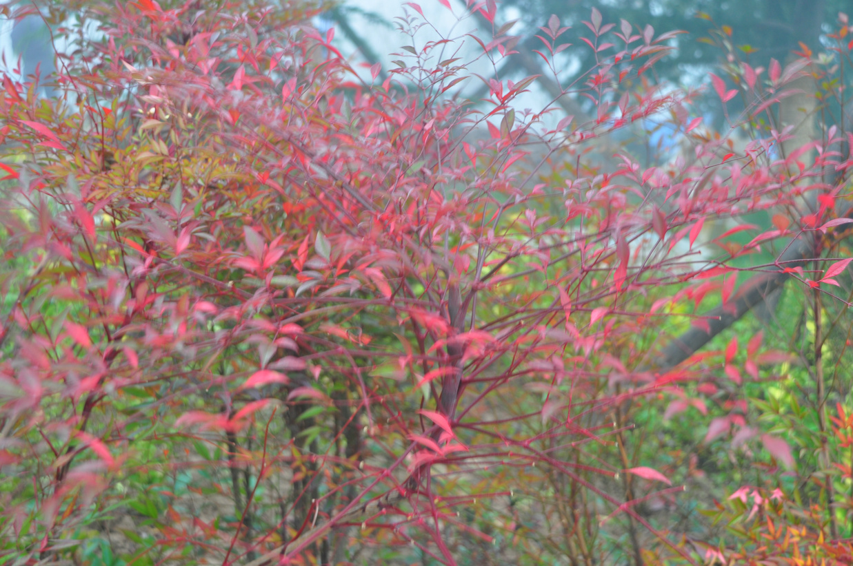 照片 056.jpg