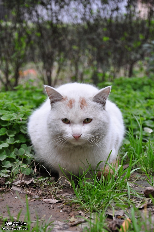 DSC_0003_副本.jpg
