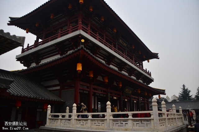 DSC_0060.JPG