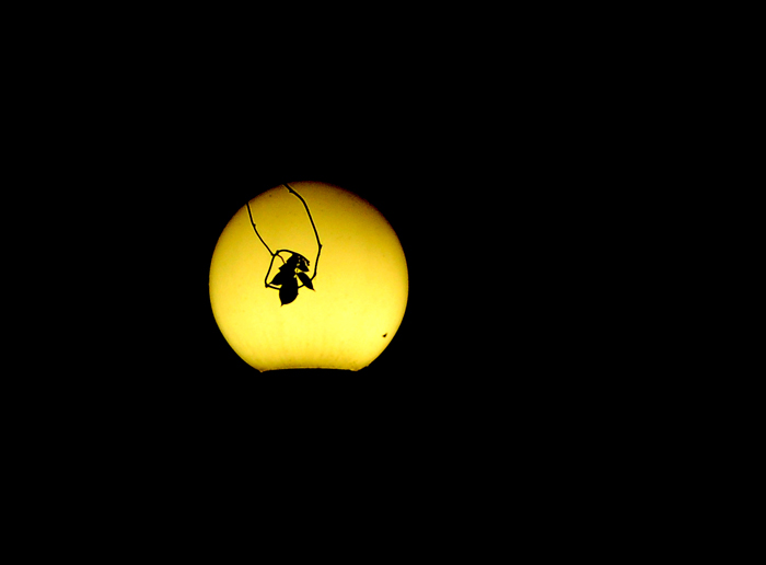 DSC_0552.jpg