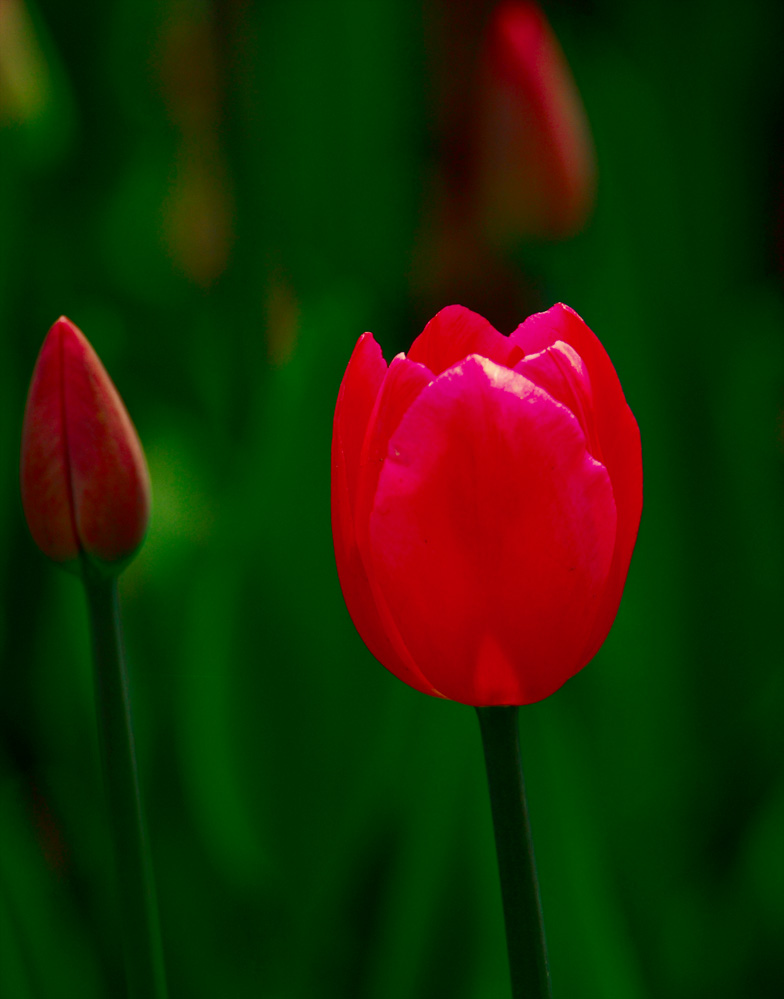 DSC_7606.JPG