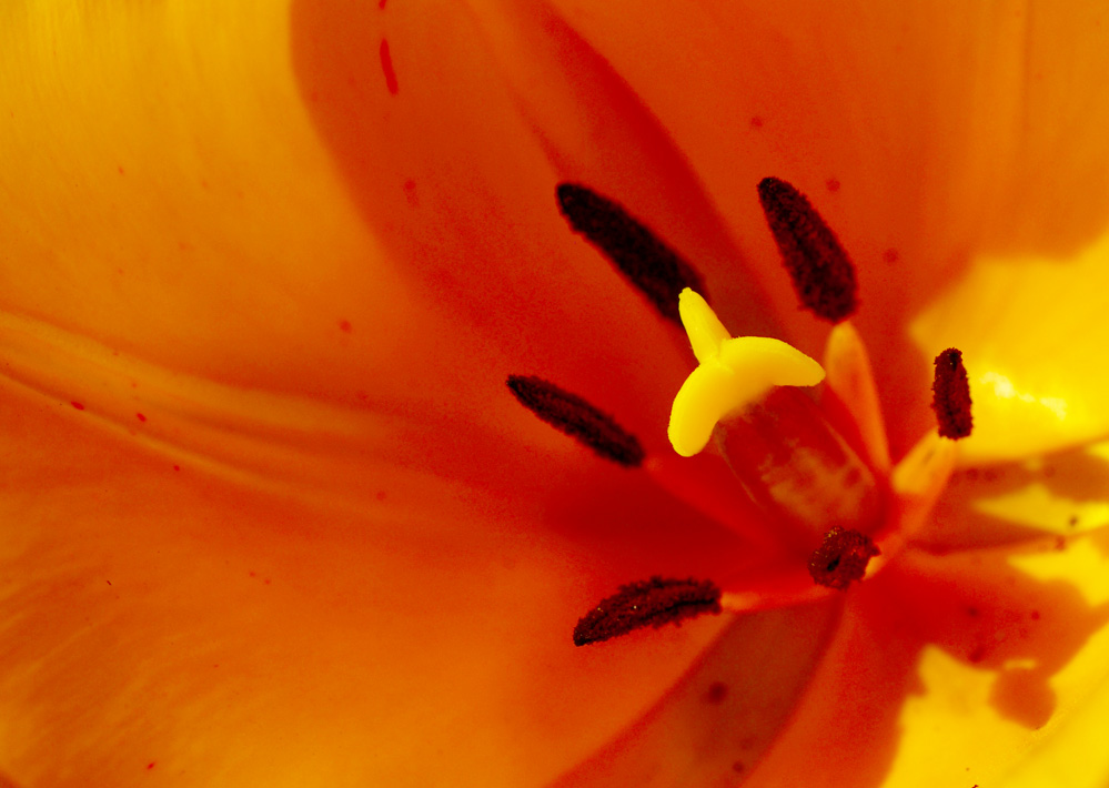 DSC_8769.JPG