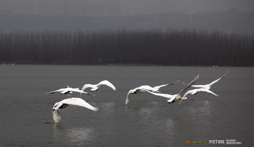 _MG_4902a.jpg