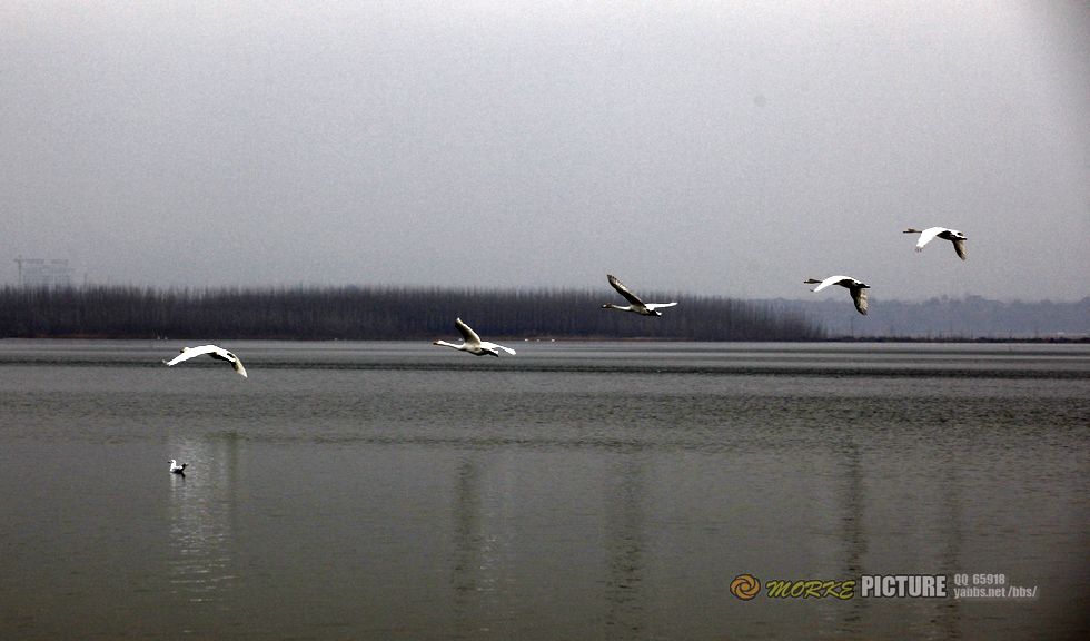 _MG_4662a.jpg
