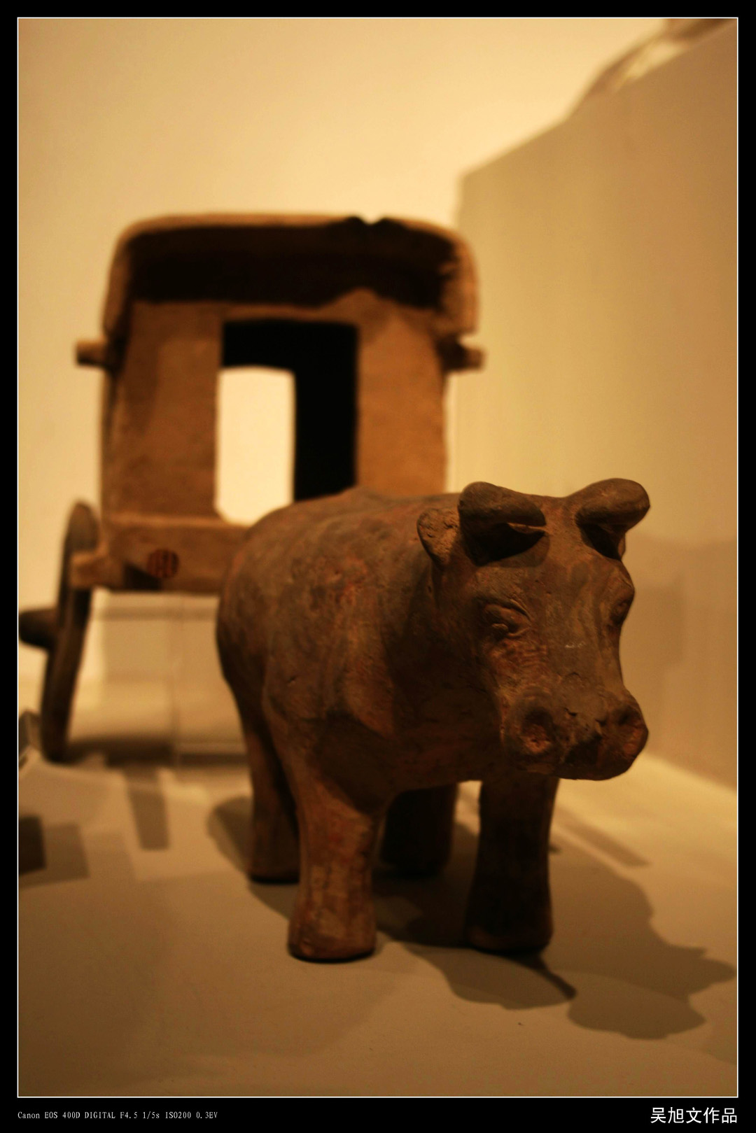 2011.11.25小品 (13).jpg